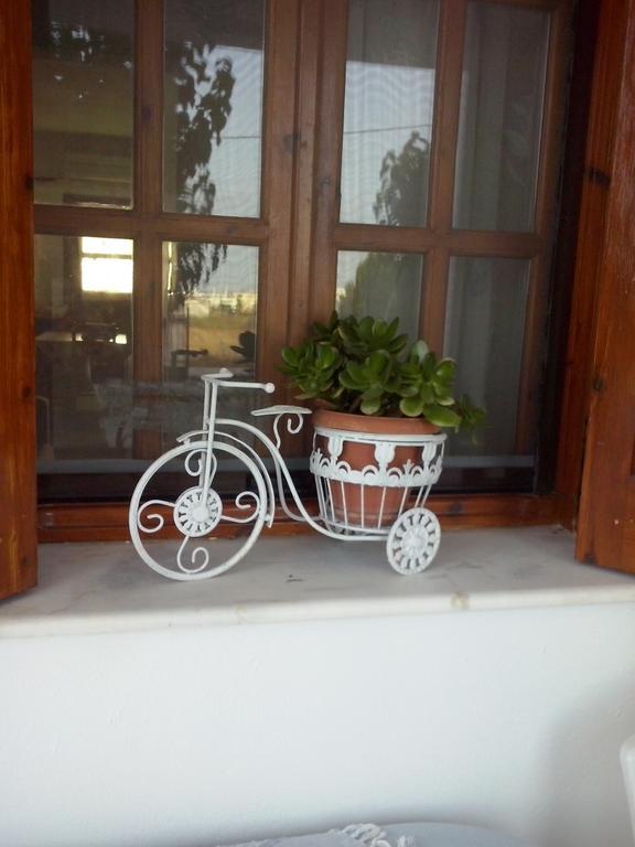 Athena'S Houses Skyros Zewnętrze zdjęcie