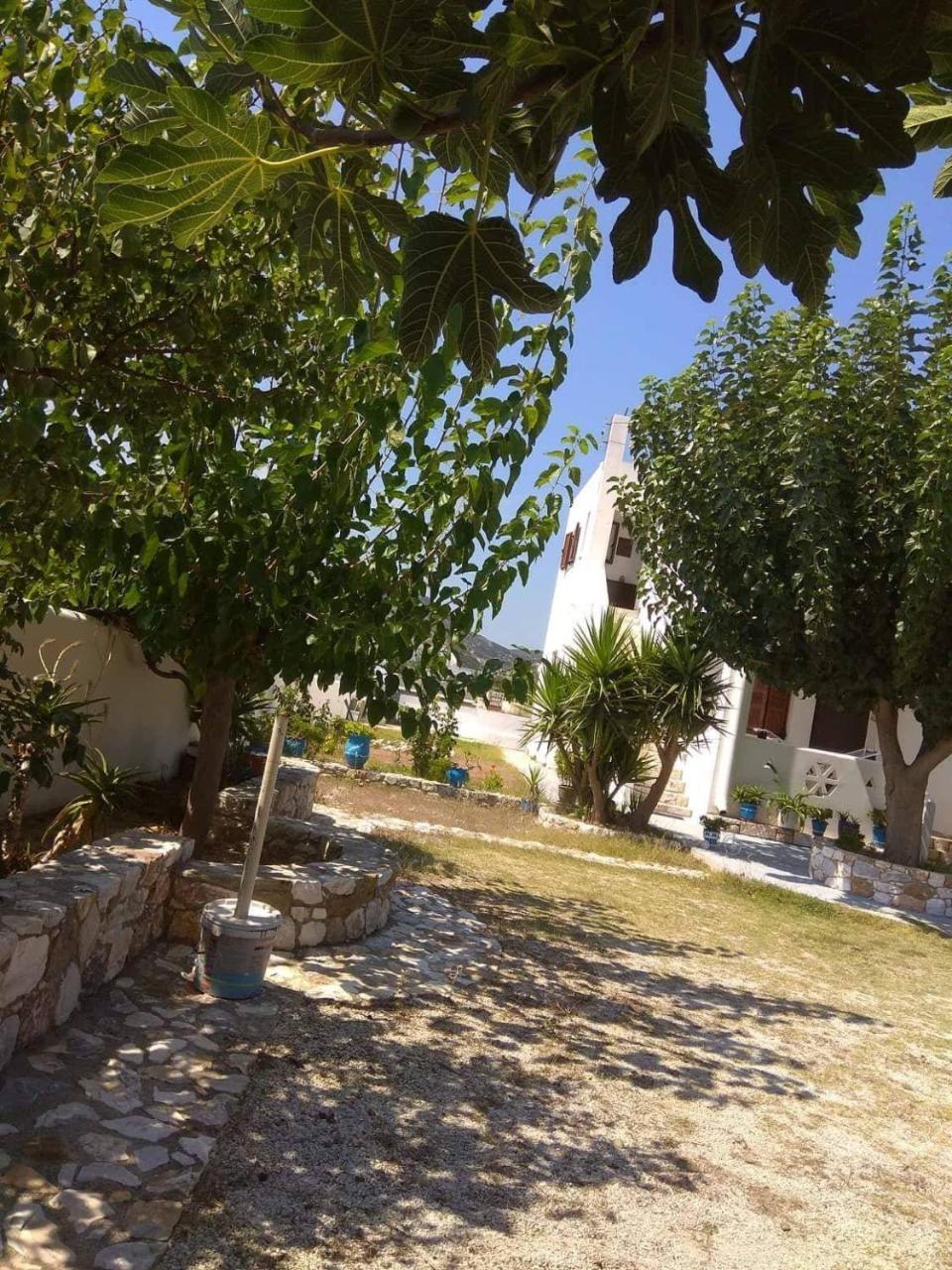 Athena'S Houses Skyros Zewnętrze zdjęcie