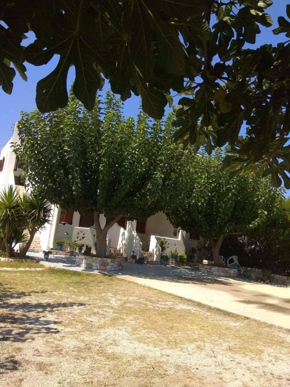 Athena'S Houses Skyros Zewnętrze zdjęcie